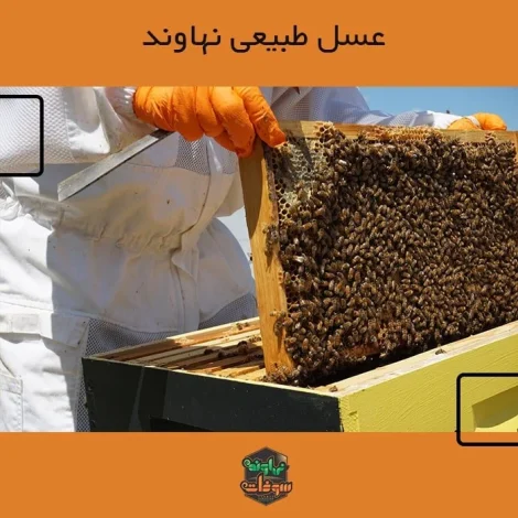 عسل