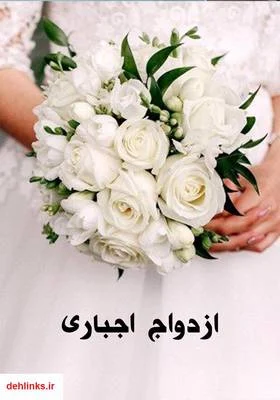برترینهای کسب و کار