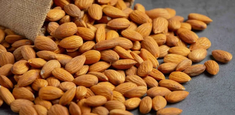 معرفی و فروش بادام با کیفیت