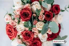 برترینهای کسب و کار