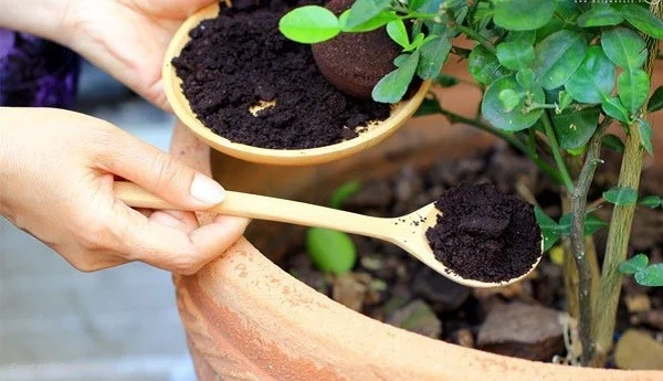 علمی و پزشکی