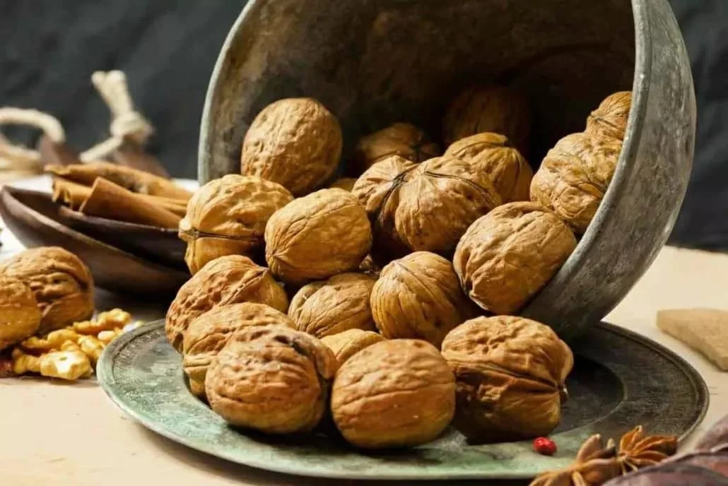 عمومی