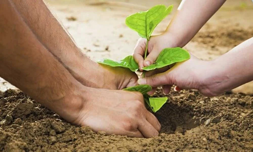 برترینهای کسب و کار