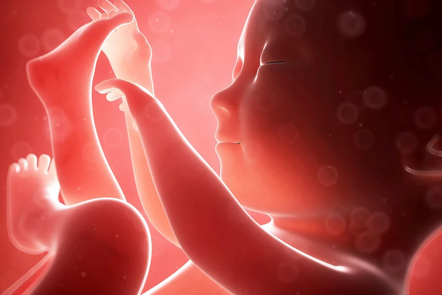 Fetal-bpd-table-and-its-weight-in-different-months-of-pregnancy