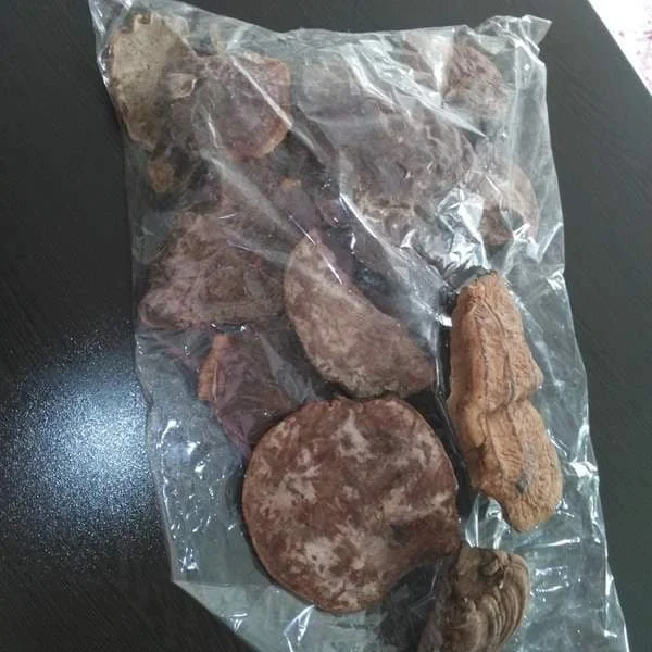 قهوه | گانودرما