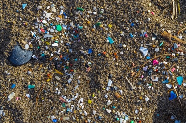 برای احیای خاک آلوده به پلاستیک، ۵۰۰ سال زمان لازم است - خبرگزاری مهر | اخبار ایران و جهان