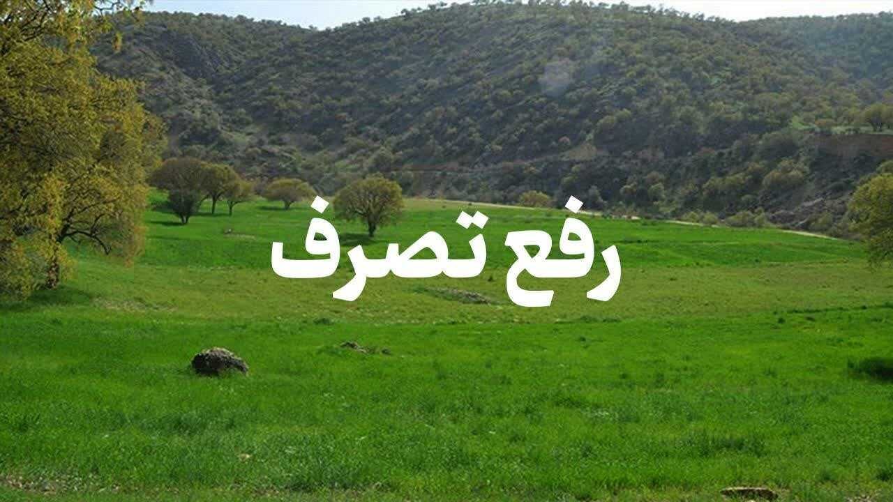 رفع تصرف بیش از ۶۰۰۰ متر اراضی ملی در روستای چاف لنگرود - خبرگزاری مهر | اخبار ایران و جهان