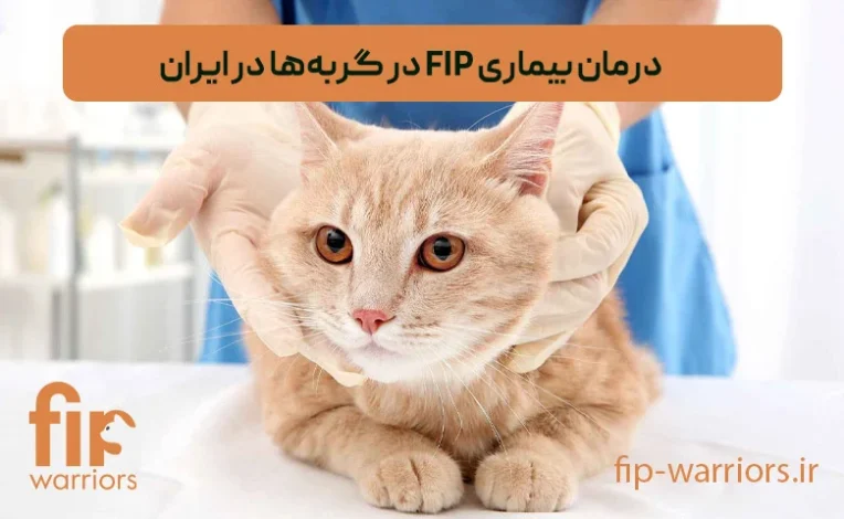 بیماری