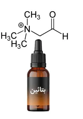 عمومی