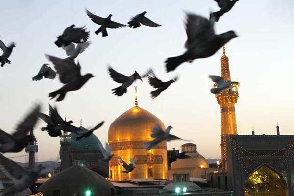 دلم خورشید میخواهد ... - ایسنا