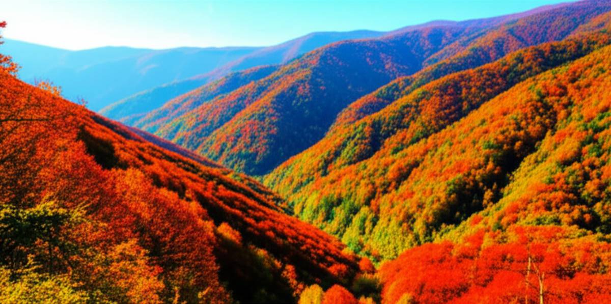جنگل | گردشگری