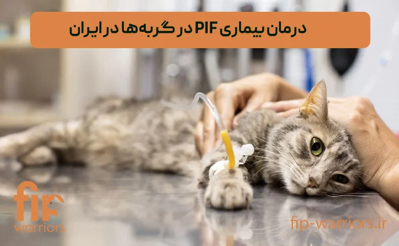 بیماری | درمان بیماری