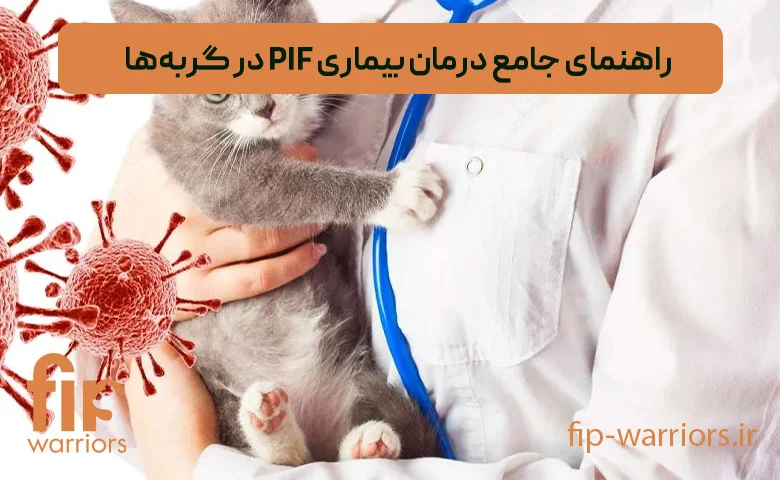 بیماری | درمان بیماری